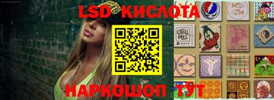 прущие грибы Кандалакша