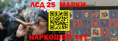 прущие грибы Кандалакша