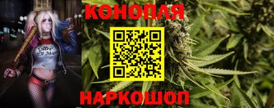 сатива Канаш
