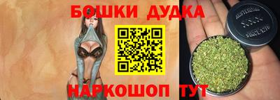 прущие грибы Кандалакша