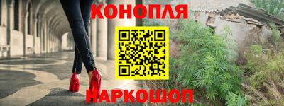 прущие грибы Кандалакша