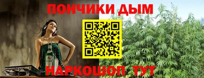 прущие грибы Кандалакша