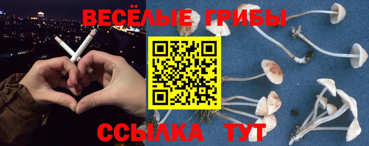Галлюциногенные грибы прущие грибы Котельники