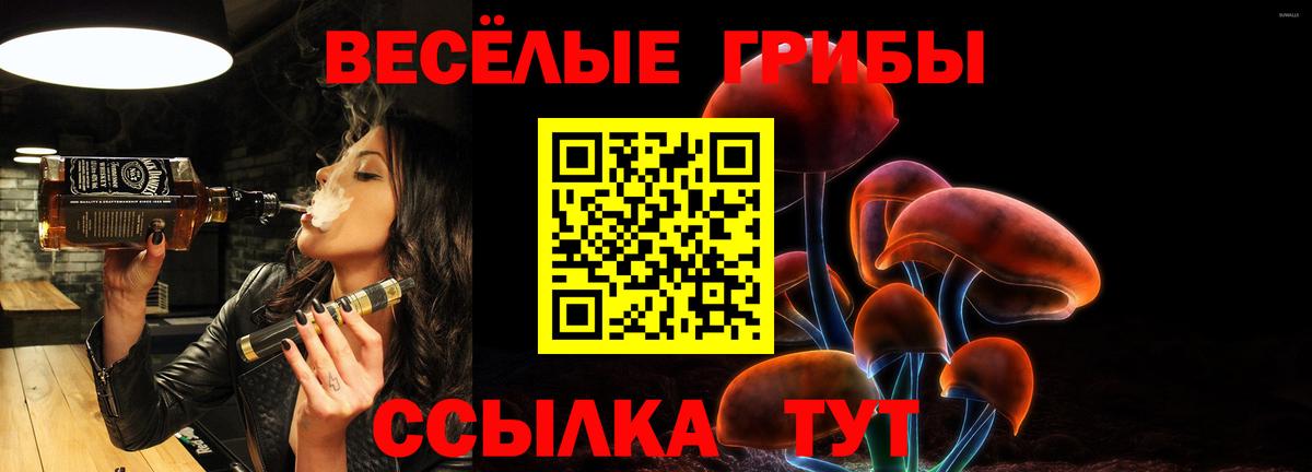Псилоцибиновые грибы прущие грибы  Вход с VPN  Псилоцибиновые грибы Psilocybe  Котельники 